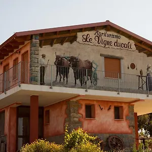 Le Vigne Ducali Alloggio per agriturismo